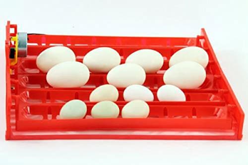 Qubeat Egg tray with turning motor system for incubator breeding machine suitable for various sizes of eggs, geese, quail, chickens