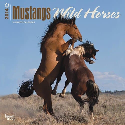 2014 Calendars Wild Horses Mustangs 2014 Wall Calendar