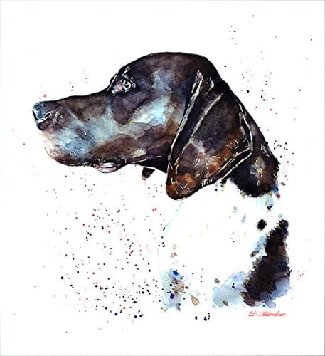 German Shorthaired Pointer - Print Watercolour, German Shorthaired Pointer art, German Shorthaired Pointer print, German Shorthaired Pointer art print, German Shorthaired Pointer wall decor…