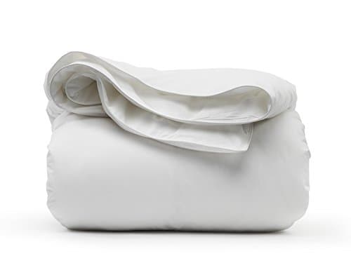 Dreamsong D40B200433 Country Down Queen Comforter