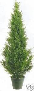 One 3 Foot Artificial Cedar Topiary Tree Potted