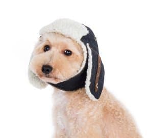 DOGODESIGN Trapper Hat for Dogs (XS)