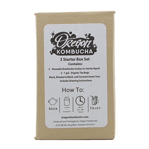 Kombucha Tea Triple Pack - Includes 3 Kombucha Scoby Cultures and 3 Tea Bags - Black Tea, Jasmine Green Tea, and Exclusive Oregon Kombucha Tea