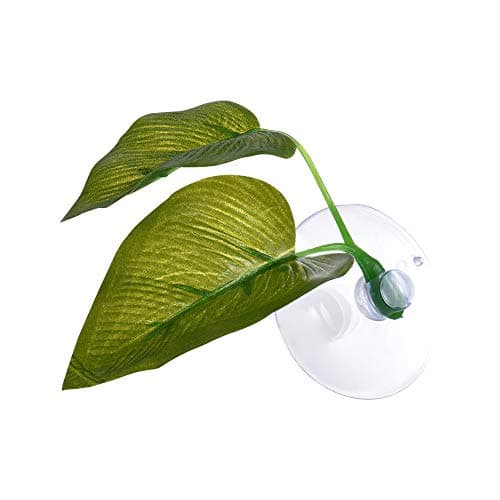 Dingq Leaf Betta Hammock Fish Rest Bed Tropical Saltwater Fish Aquariums Supplies Including 2 Leaves
