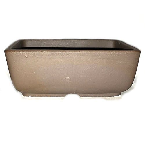 Bonsai Pot Ceramic Rectangle Round Shaped Corners (5.5", Noglazed)