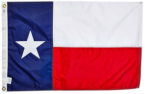 US Flag Store Texas 2ft x 3ft Nylon Flag