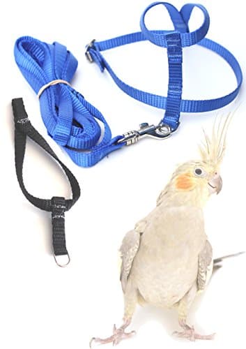 Fred Bird Harness &amp; Leash with additional larger TRAINING Head Loop