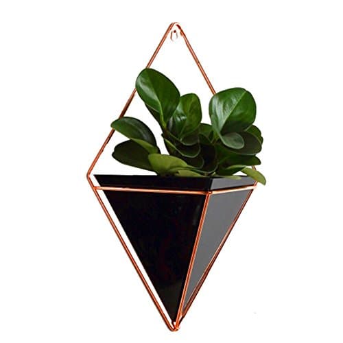 Trigg Hanging Planter Vase & Geometric Wall Decor Container - Great for Succulent Plants, Air Plant, Mini Cactus, Faux Plants and More, Concrete Resin/Copper - Large/Small/Black/White
