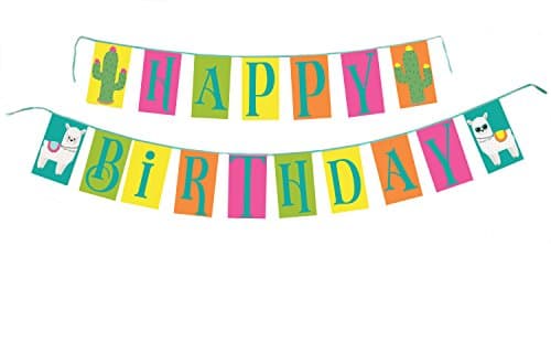 Lilly and the Bee Novelties Boho Bash Llama and Cactus Party Banner