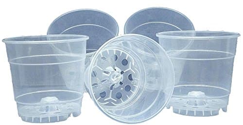 5 Pack Clear Plastic Orchid Pot - EBook Included (6")