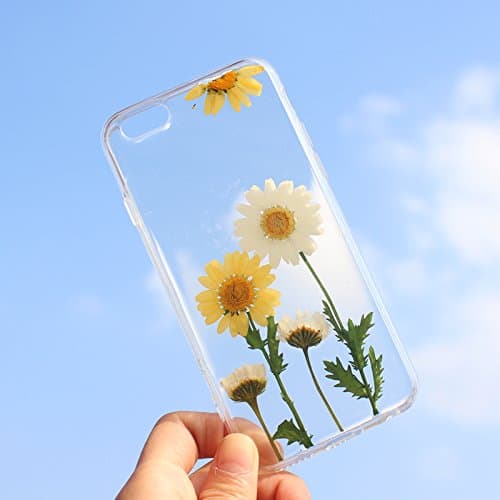 Rebbygena Beuatiful iPhone 5s Case Real Daisy Flower iPhone 5 Case Crystal Clear Women iPhone Case and Cover