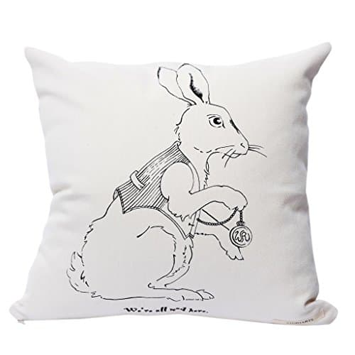 Alice in Wonderland Pillow