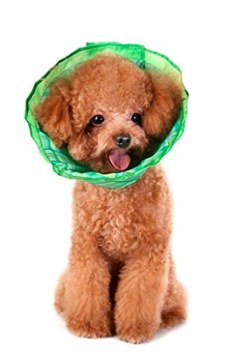 Premium Plush E-Collar Cone For Dogs &amp; Cats, Elizabethan Collar is Soft and Durable for Ultimate Bite Not Protection During Recovery, Comes in Every Size, Choose Blue, Pink, Green Plaid, Guaranteed