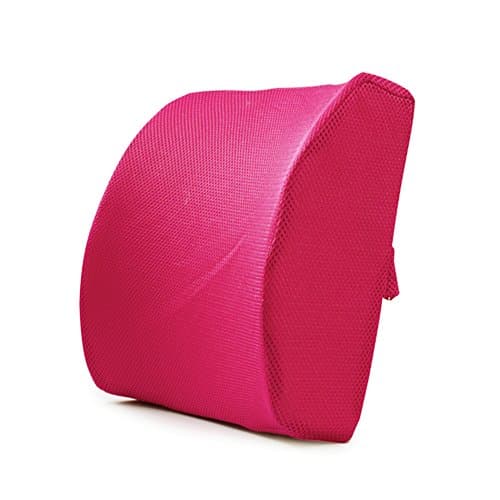 HappyX Lumbar Pad, Memory Foam Support Back Cushion Back Pain Relief, Lower Back Pillow Orthopedic Posture Pillow (Rose)