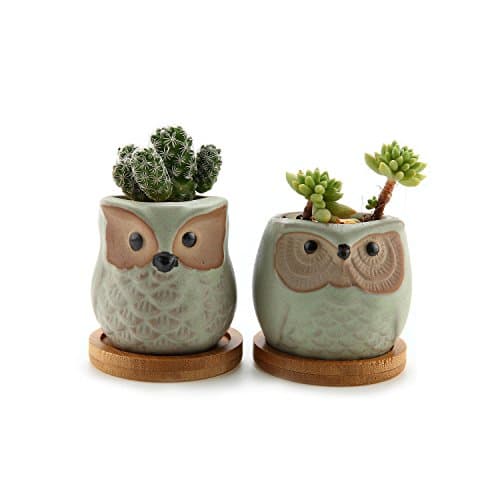 ComSaf 6.5CM Ceramic Owl Succulent Cactus Planter Pot Set with Bamboo Tray - Glaze Light Green, Pack of 2, Home and Office Decoration Desktop Windowsill Bonsai Pots Gift Wedding Birthday Christmas
