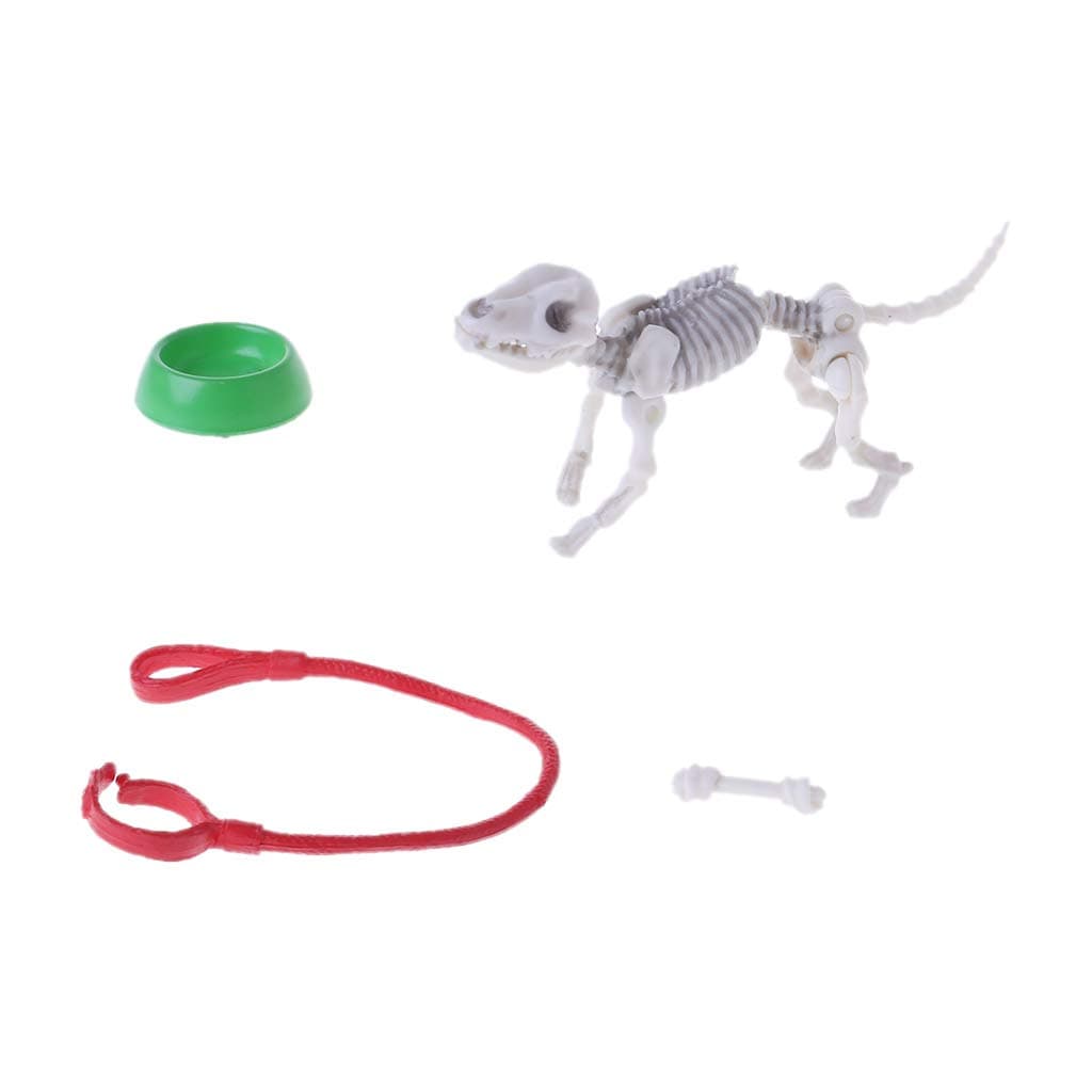 Fogun Movable Mr. Bones Accessories, Skeleton Human Model Skull Figure Toy Halloween