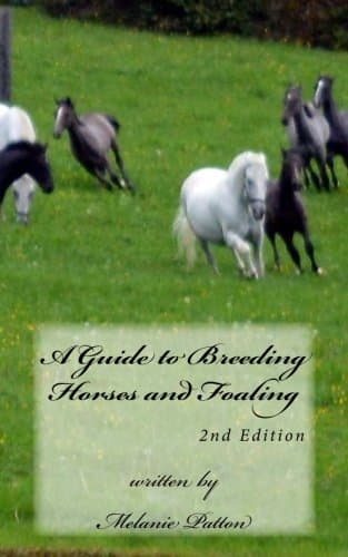 A Guide to Breeding Horses and Foaling