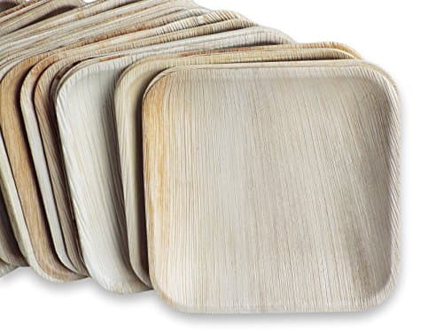 25 Pack EARTHLINK Palm Leaf Plates | 10 Inch Square | Perfect Disposable Wedding and Party Plates | All Natural 100% Biodegradable and Compostable | Eco Friendly | Heavy Duty Leafplates