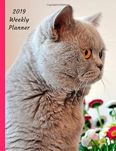 2019 Weekly Planner: Large Size 8.5x11 Organizer Diary with Goal Setting & Gratitude Sections, British Shorthair Cat & Flowers (Love All Cats) Paperback – November 15, 2018