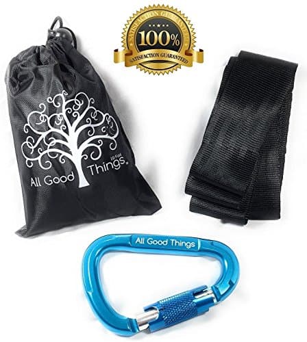 Tree Swing Hanging Strap Kit by All Good Things - Holds 1000 lbs! Simple and secure 5 ft hanging kit for tree swings, tire swings, disc swings, web swings, spinner swings and more.
