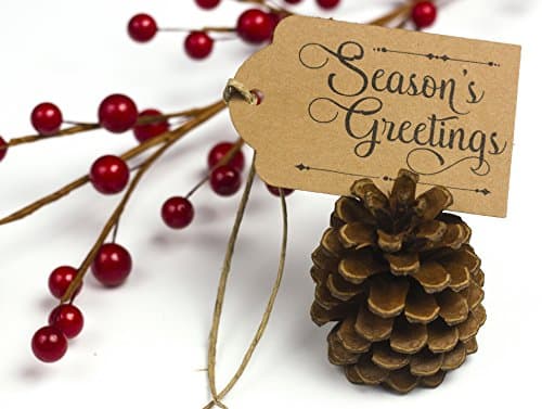 Rustic Christmas Tags with Twine, Rustic Christmas Gift Tags, Kraft Christmas Gift Tags, Holiday Gift Tags, Elegant Christmas Tags Set of 9