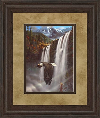 Classy Art DM5366 "Eagle Portrait I" Framed Prints By Leo Stans