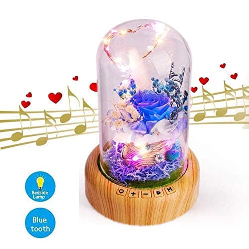 OVA Led Rose Night Light Lamp with Bluetooth Speaker, Preserved Rose in Glass Dome, Best Gift for Mom Girlfriend Sweetheart Decor for Valentine's, Anniversary, Birthday
