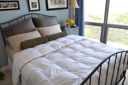 Nature Relax - Premium Silver Antimicrobial White Goose Down Comforter 800 Thread Count Egyptian Cotton, Extra Warm - Queen Size