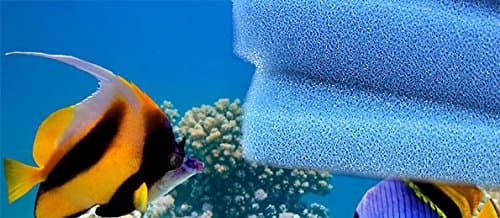 Blue Filter Sponge-Purifying Fish Tank & Aquarium Sponge Filter