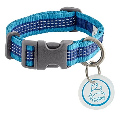 OllyDog MTN Reflective Collar, Small, Aloha Blue