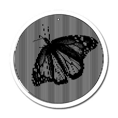 Butterfly - Medium 5.5 Inch CineSpinner - Animated Suncatcher