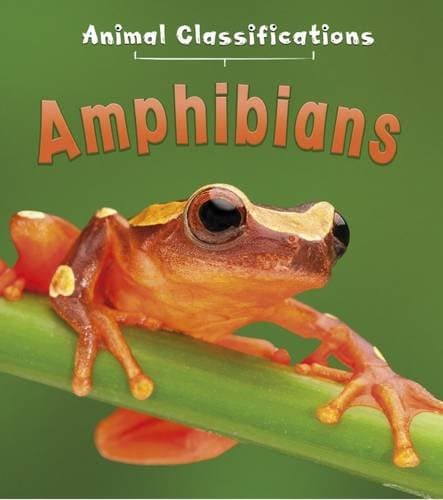 Amphibians (Animal Classification) Paperback – 15 Jun 2016