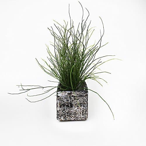 Ceramic Square Planter black and white roofs, Pottery small Square Vase, succulent plant pot