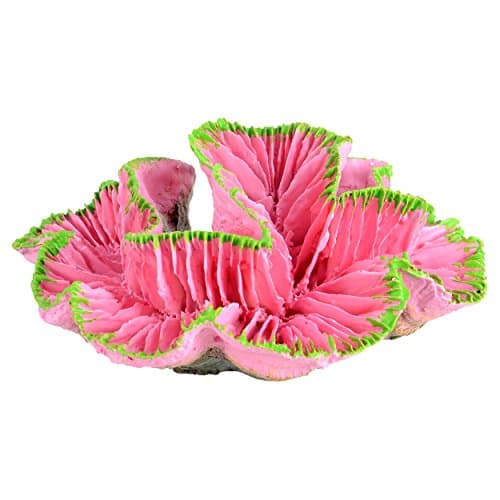Underwater Treasures Open Brain Coral - Pink - Small