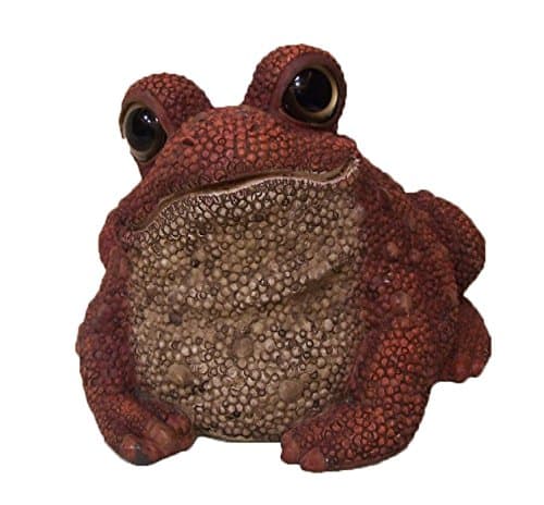 Toad Hollow #44122 Hoppy Toad Terracotta Two-Tone Garden Statue, Medium, Brown/White