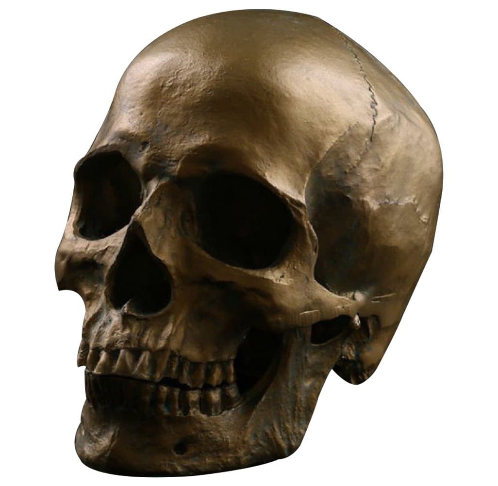 1:1 Human Anatomical Skull Model (Coppery)