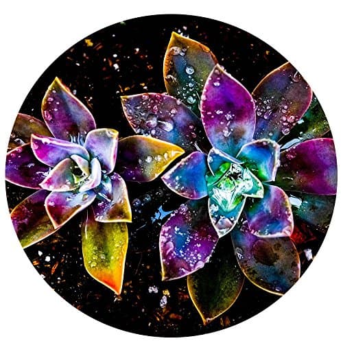 Pretty Flowers Mouse pad, Durable Non Slip Rubber Mouse Pad Desktop Round Mat