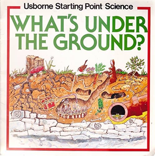What's Under the Ground? (Usborne Starting Point Science S.) Paperback – 31 May 1989
