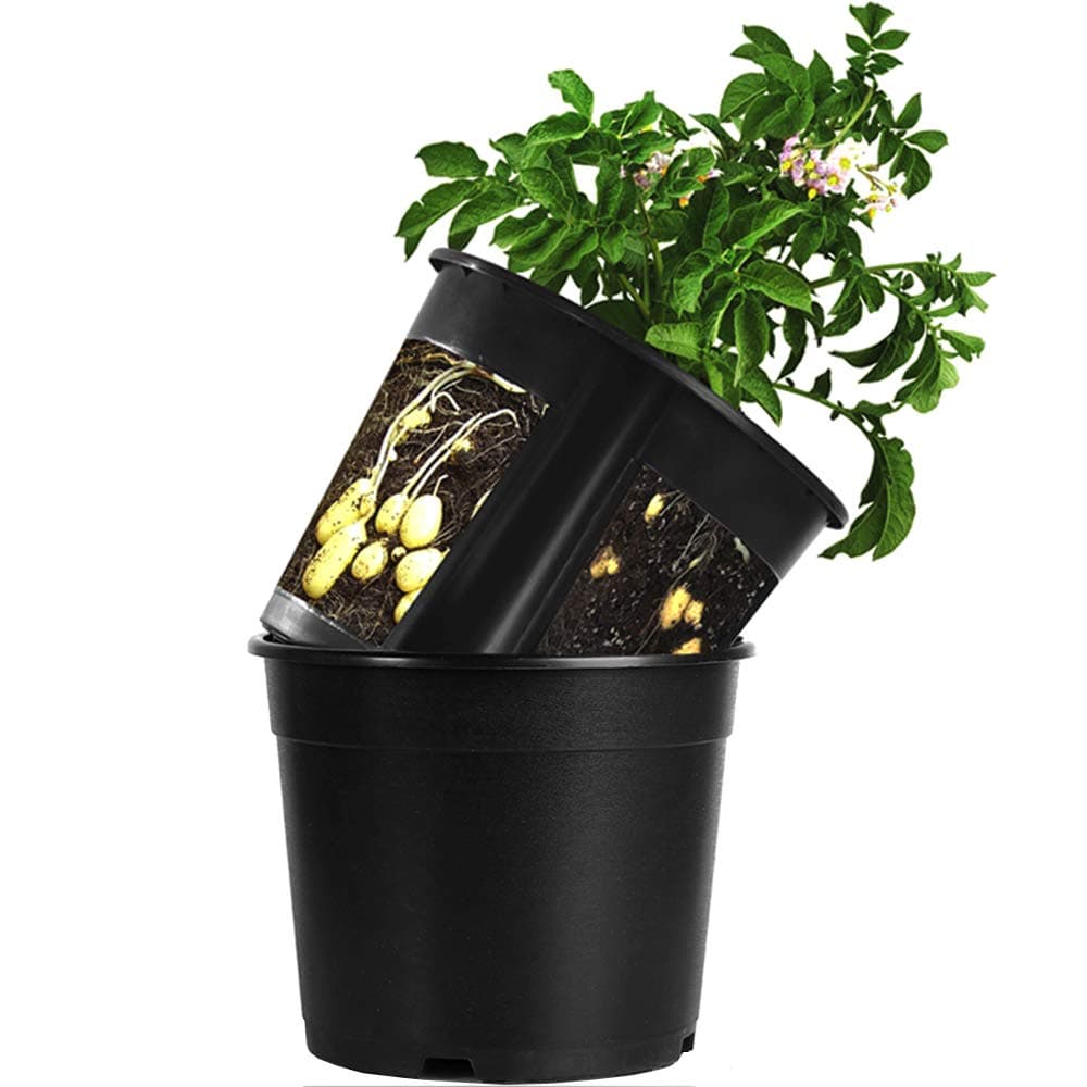 Garden Planter Pot 2-Piece Plastic Container for Growing Vegetables: Tomato,Potato,Carrot,Onion,Peanut (Black)