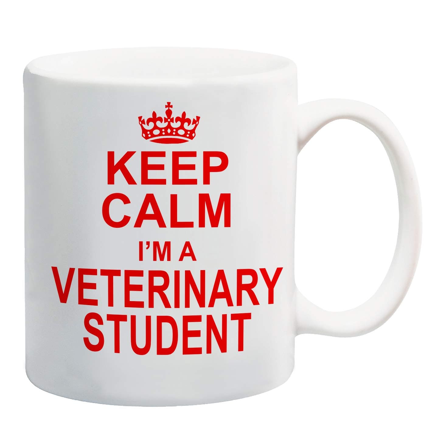 Dynamite Gifts Keep Calm I'm A Veterinary Student Red Mug Gift Present Vet University