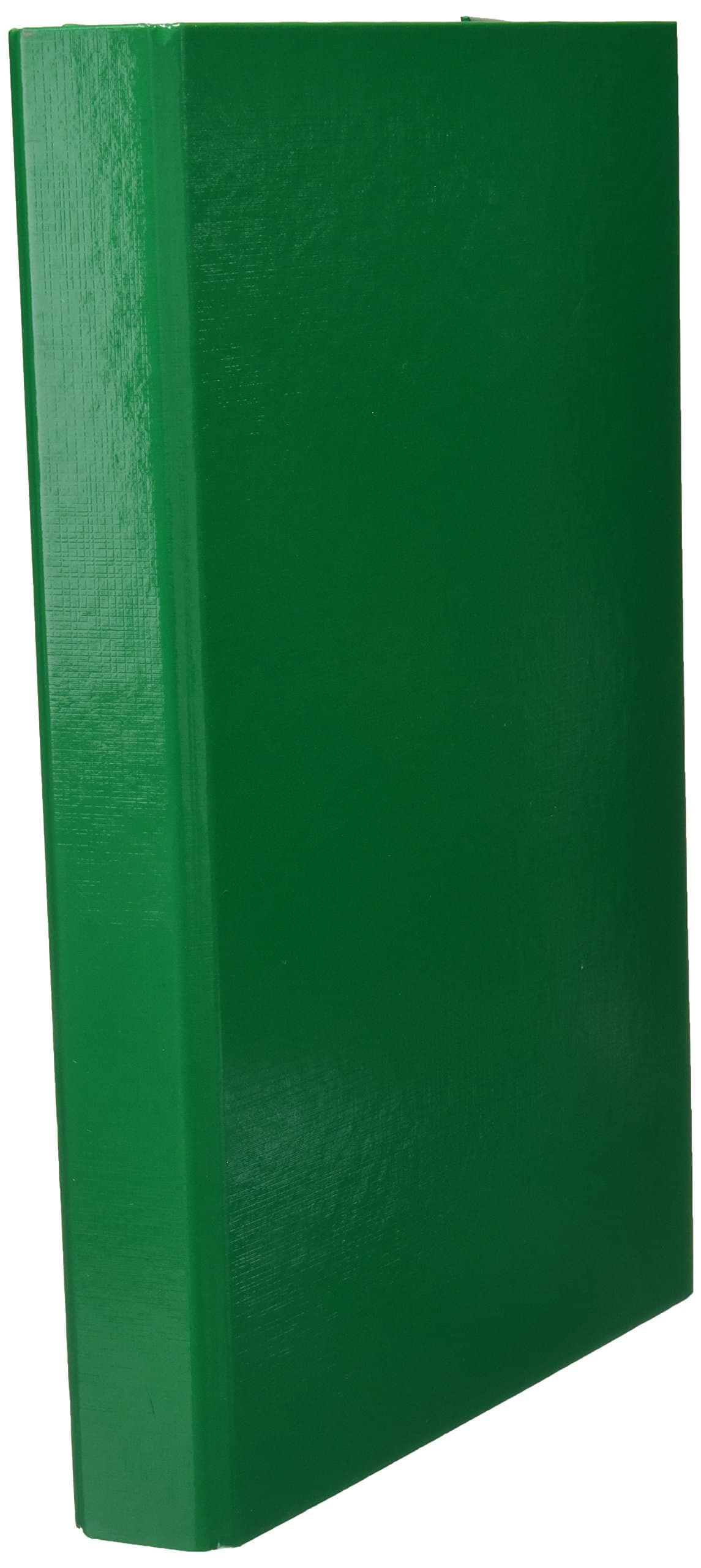 Pagna File Box, Basic Colours, A4, 3 Inside Flaps, with Elastic Band Closure, Green