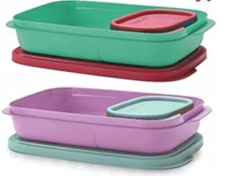 Plastic Mylunch 2 Containers Lunch Box (590 Ml), Multicolor
