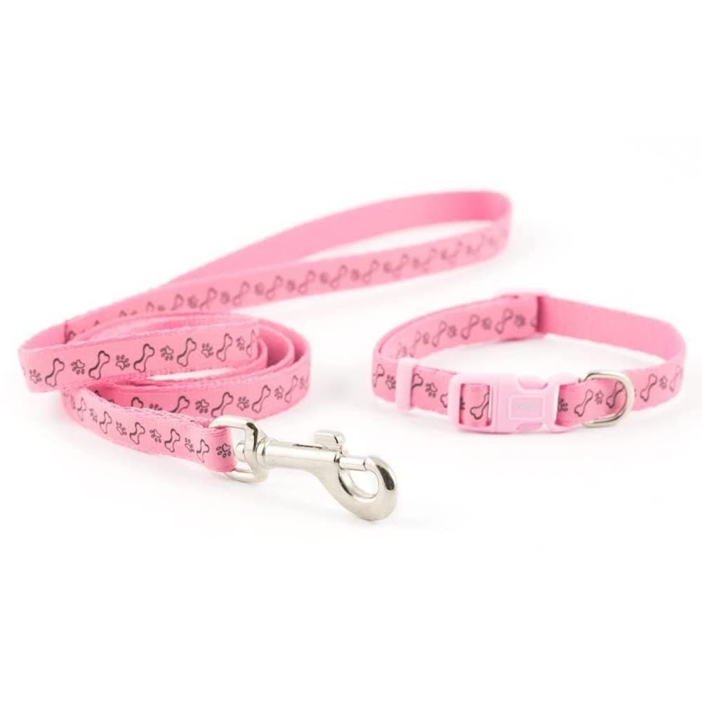 Refl Paw & Bone Collar & Lead