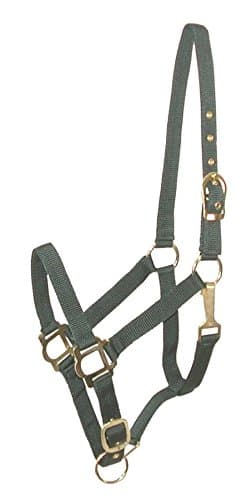 Gatsby Adj Nylon Halter/Snap