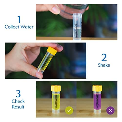 Swim Water Test Kit Detects and Identifies Pseudomonas and Coliforms | 2 Pack | Testing Kit for Swimming Pool Water Hot Tub Spa Pond | Water Tester Outdoor