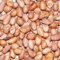 Premium Peanuts For Wild Birds (25 kg)