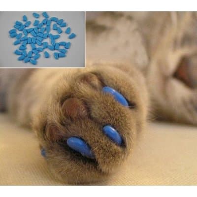 Original L Small Clear Natural Soft Claws Paws Nail Caps for Cats & Dogs C15-20 lbs Dog - Random Color