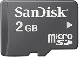 SanDisk 2 GB MicroSDHC Card Only - Standard Packaging