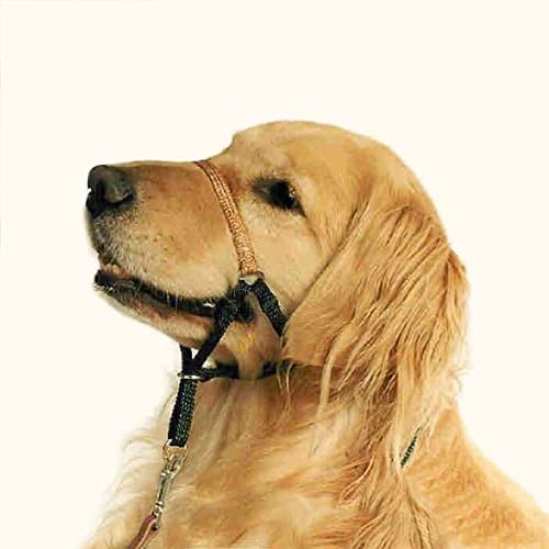 Trainer Dog Head Halter Size 3 Black Color