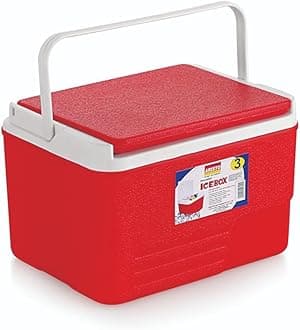 Insulated Chiller Ice Box | Standard Size for Travel Party Bar Ice Cubes | Cold Drinks | Medical Purpose |2.5 Litre |Color May Vary